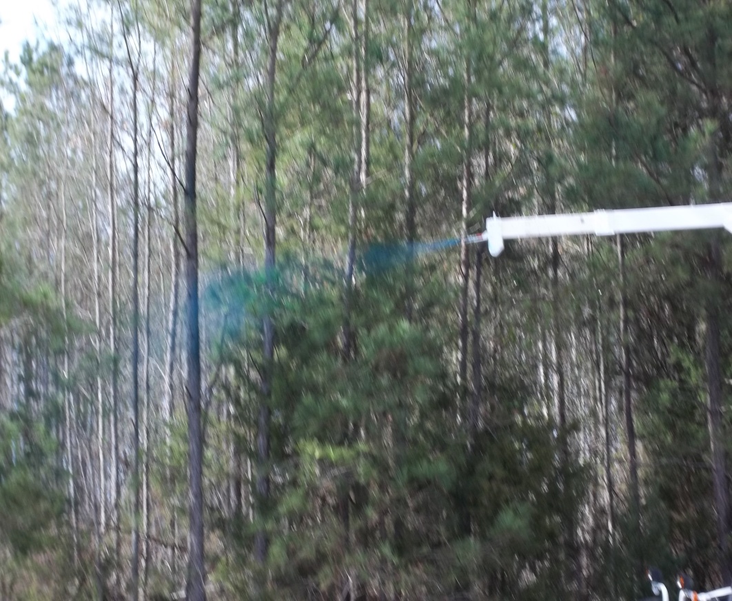 dormant chemical side trim