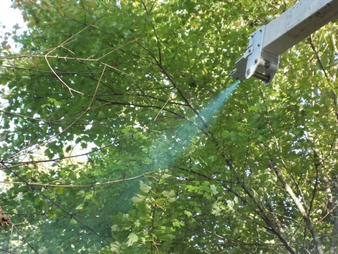 foliar chemical side trim